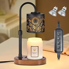 02-black-sunflower & Dragonfly