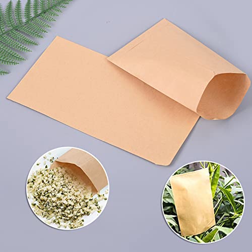 100 piccoli sacchetti piatti marroni in carta