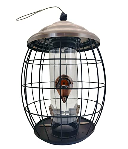 Dehner Natura Premium Wildvogel Futterspender Positano...