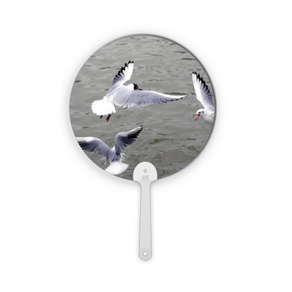 Éventail Ocean Water Sea Bird en plastique pour rester au frais durant vos sorties nature