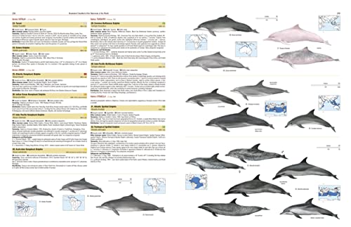 Illustrated Checklist of the Mammals of the World