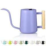Watering Can Indoor Plants, 35oz Small Stainless Steel Metal Watering Can Modern Decorative Watering Pot with Long Spout for Indoor House Plant Bonsai Garden Flowers (Purple)