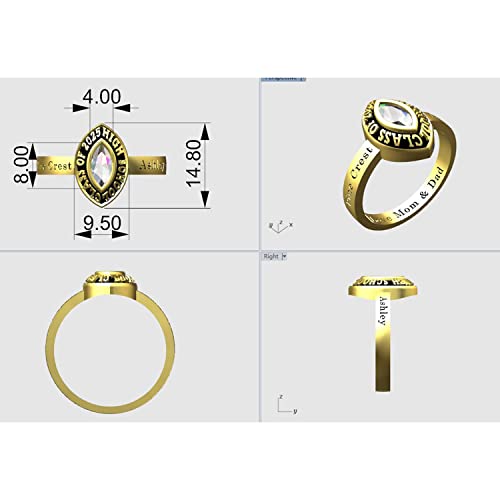 Fully Personalized Customized Sterling Silver Ladies High School And College Class Ring Cubic Zirconia Birthstone Class Rings Graduation Gifts Cubic Zirconia Rings For Women-Ccjcinata (Sterling Silver - Platinium) #TOP3