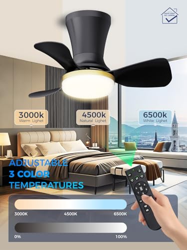 Image of LANMEL 22 Inch Flush Mount Ceiling Fan with Light and Remote, Low Profile Modern Ceiling Fan, 6 Speed, Reversible, 3000k-6500k Dimmable LED, Quiet DC Motor for Indoor Outdoor, Black Gold