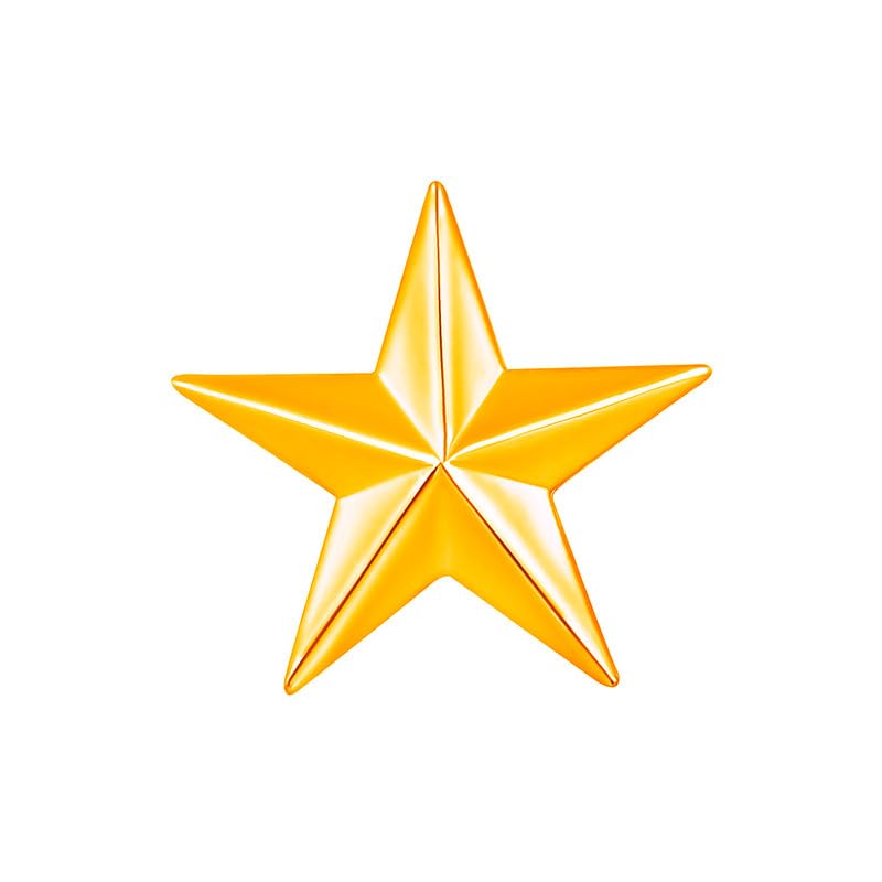 Mahi Gold Plated Shining Lapel Pin Badge for Men (BP1101168G20mm) (B0CYT6QQCV) Amazon Price History, Amazon Price Tracker