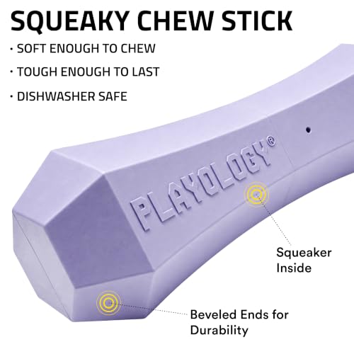 Playology Squeaky Chew Stick - Scented Dog Toy - Medium, Lamb Scent | Rubber Construction, All Natural Scent, Durable Design - Image 3