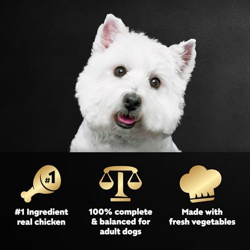 Image of Cesar Wholesome Meals Wet Dog Food Pouch, Chicken, 17.6 oz, 6 Count | Carrots, Barley & Green Beans, real meat & fresh vegetables, no by-products /artificial flavors, slow-cooked, resealable pouch