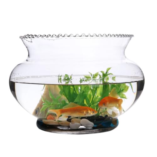 Pazeku KX 甫 ی^   琅  ϗtA CeA e e[u ANAE {E | e  CeA ԕr  t[x[X (28cm)