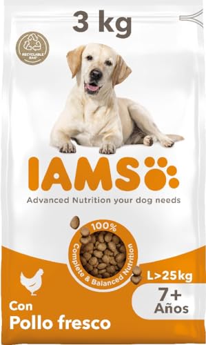IAMS Alimento seco para perros de razas grandes con pollo fresco, comida seca para perros senior de edad de más de 7 años, 3 kg