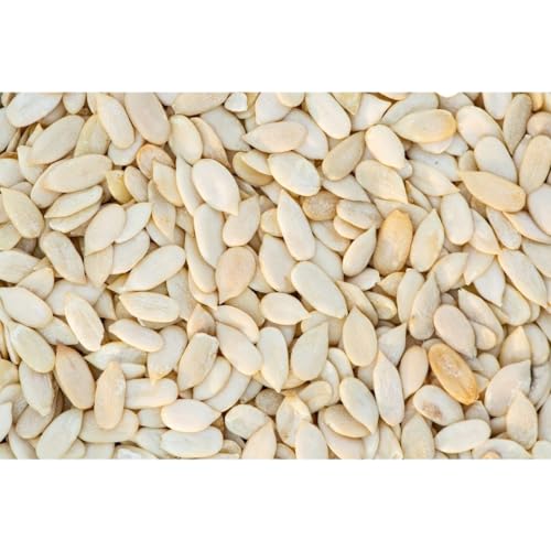 Image of Nutwiz Premium Seeds (Musk melon seeds (kharbooj), 200g)