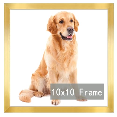 RUN HELIX 10x10 Picture Frame for Square Photo Poster Canvas Certificate Document Display Horizontally or Vertically High Transparent Wall Gallery(Gold 10 x 10 inches) gold 10x10inch(set of