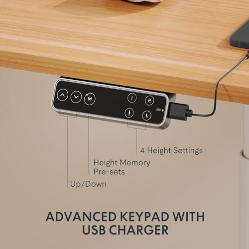 Image of FLEXISPOT E6 Pro Oval Leg Dual Motor 3 Stages Standing Desk 60x24 Inch Whole-Piece Board Electric Height Adjustable Electric Sit Stand Up Desk 150KG Load Capacity (White Frame + Maple Desktop)