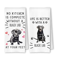 Black Labrador Retriever Life and Kitchen