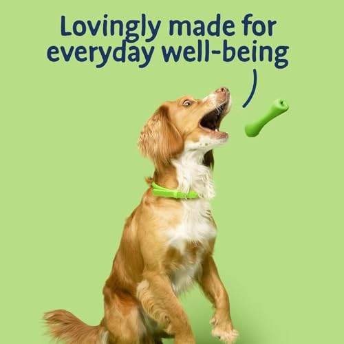 Barking Heads Complete Trockenfutter für Hunde, 2kg, für Erwachsene, All Hounder Bowl Lickin' Goodness Lamb, natürliche Immunität und Vitalität für den täglichen Gebrauch, vom Tierarzt zugelassen