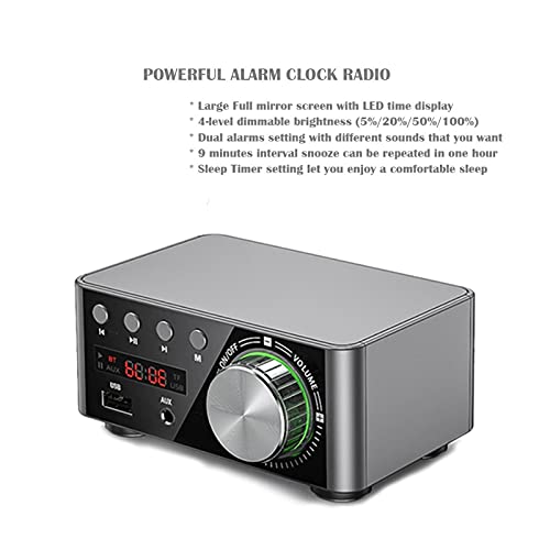 Delaman Amplificatore di Potenza Bluetooth 5.0