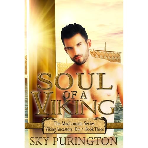 Soul of a Viking Audiolibro Por Sky Purington arte de portada