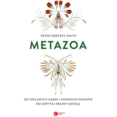 Metazoa