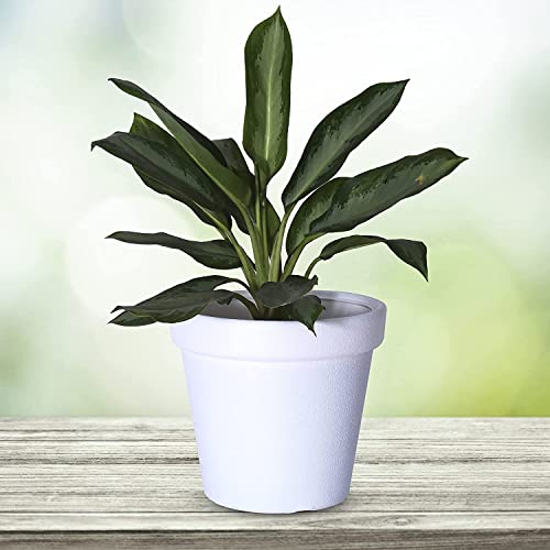 JUSThink Plastic Cosmos Flower Pot with Plate, (12 Inch), for Indoor and Outdoor Gardening,Gamla for Garden. (White, Pack of 3)