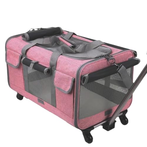 Kizare �L �y�b�g �L�����[�J�[�g �܂肽���� �L�����[�o�b�O ���@�\ ��� ���ɂ��� �y�� �֗� ��e�� ���O���\ ���[�� �Ɨ������L�����[�o�X�P�b�g �􂦂� �É��L���X�^�[ ���s�A���o�����A�����a�@�ւ̒ʉ@�A���̎U���A�A�E�g�h�A�A�N�e�B�r�e