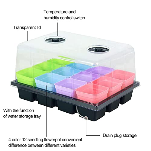 sementes, conjunto propagador jardim, kits sementes - início sementes Kit iniciante plantas e base m