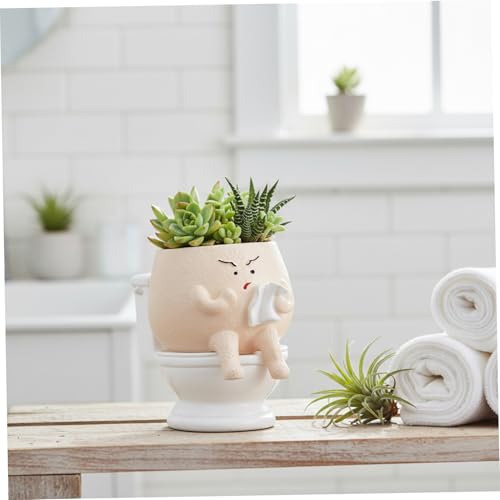Pots jardin pour intérieur et extérieur mini pot de fleurs succulentes