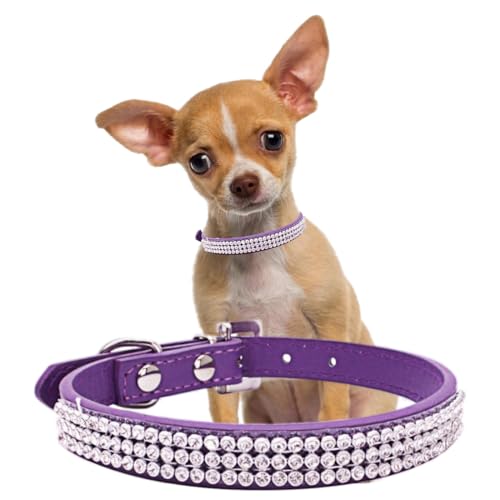 Collier chien violet pour les balades de votre petite chienne à strass - 2
