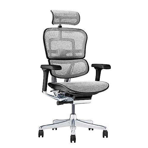 Ergohuman PRO2 EHP2-HAM-BF-WH [�z���C�g]