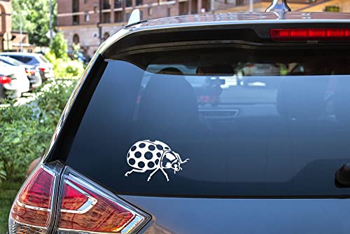 Image of WIRESTER 6 inch Clear Vinyl Decal Sticker Decoration for Car Window (Or Any Flat Surface) - Bug