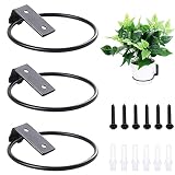 Supports Muraux pour Pots de Fleurs 3 pcs Support Pot de Fleur Mural en Métal Anneau Support de Pot de Fleur Pliable avec Vis pour Balcon, Jardins, Couloirs(10cm/4in)