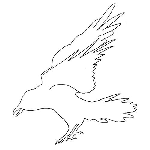 The Lights Go Out Invisible Elephant Digital Music