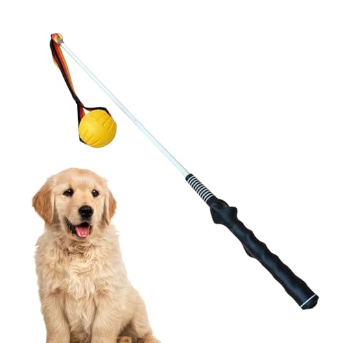 Bâton de flirt interactif pour chiens - Jouet de traction et exercice - 8