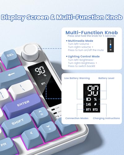 Image of Womier DK75 75% Wireless Gaming Keyboard, RGB Backlit Creamy Keyboard with Media Knob, OLED Screen, Tri-Mode 2.4GHz /USB-C /BT5.0, Anti-Ghosting No-Conflict Silent Membrane Keyboard for MAC Windows