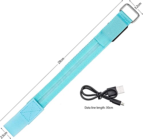 Hsthe Sea 2PCS Rechargeable LED Armband Light Fluorescent Armband Reflective Armbands for Walking Lights For Running at Night -Blue - Image 2