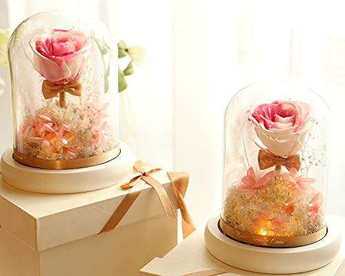 Preserved Roses - New Forever Eternity Preserve Real Rose With Led In Glass - With Gift Box, Gift Bag, Gift Card - Beauty And The Beast Flower For Anniversary Valentines Day Mother's Day Birthday Gift #TOP2