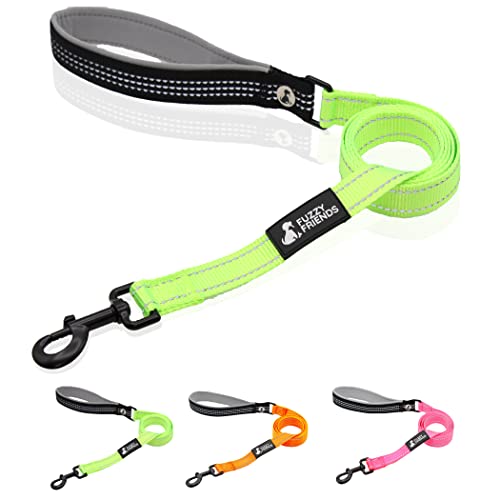 Fuzzy Friends - Padded Reflective Dog Leash. Bright, Fun Colors, Comfortable Handle And Premium Hardware Makes This A Perfect Leash For Small, Medium And Large Breed Dogs. Green Reflective Dog Leash. #TOP4
