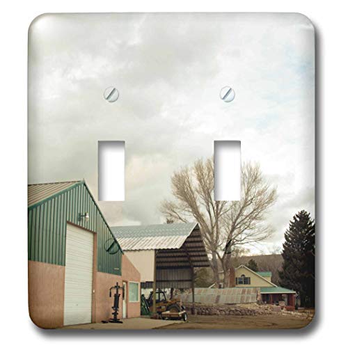 Cubierta para interruptor de luz 3dRose lsp_288653_2 decorativa de placa simple 2