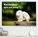 QUALITÄT - edle Materialien, stabile Rückwand mit 2 innovativen Einstecktaschen für eine optimale Präsentation an der Wand
