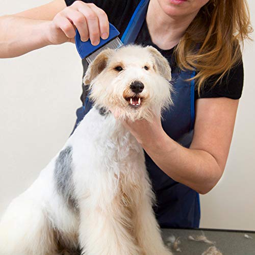 Buy Primepets Flea Comb For Cat, Pet Hair Removal Comb, Flea And Tick