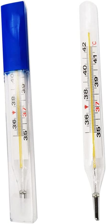 Healifty 2Pcs Mercury General Purpose Temperature Test Tools