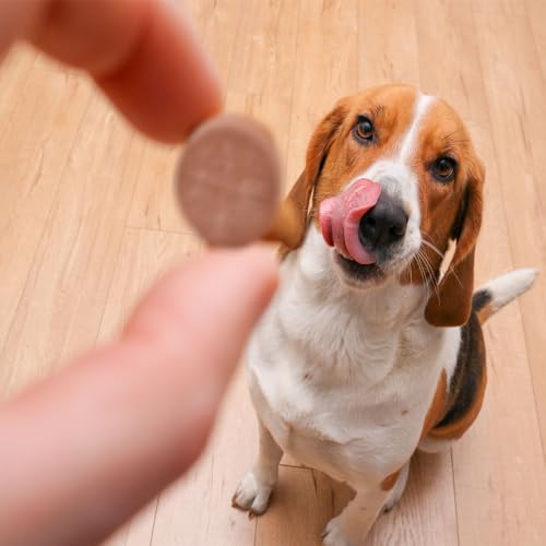 Image of K-Plus Potassium Citrate Plus Cranberry Supplement for Dogs - UTI Remedy Chewable Tablets - Supports Bladder Health - For Every Dog Breed (100 Tabs)