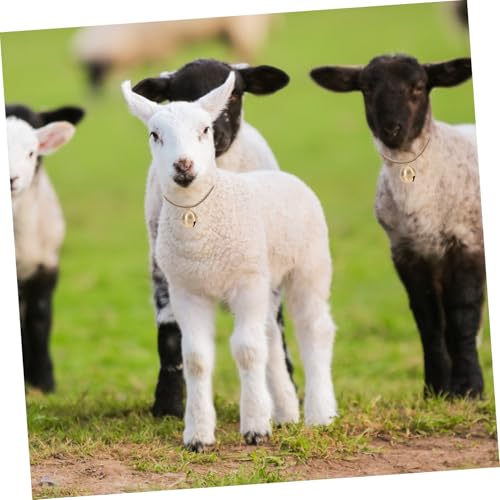 ARTSEWPLY 2 ybg֗puXx n`x @\^L ANZT[p ϋvǍDŒEȒP