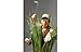 Guillermo Forchino The Golfer in The Rough Sculpture, The Comic Art Forchino Original Licensed and Limited Edition Model FO85554