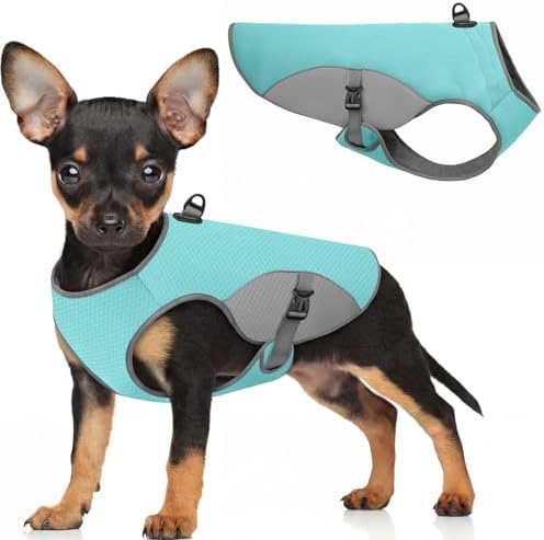 Preferhouse Dog Cooling Vest for Medium Dogs, Dog Cooling Jacket with Mesh and D Ring, Pet Reflective Stripe Jacket for Summer, Blue-M