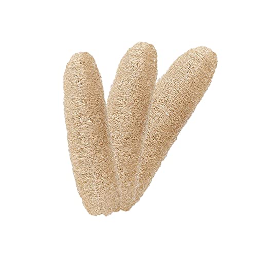 |[^uVRw`} w`}X|W w`}킵 @\ oX {fBV[X|WXNo[ HuV M H CX|W Vӂ𑣐i p 3 L