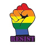 Dark Spark Decals LGBT Resist Fist Equal Rights for All - Full Color Rainbow 8 Inch Vinyl Decal for Indoor or Outdoor use, Cars, Laptops, Décor, Windows, and More -