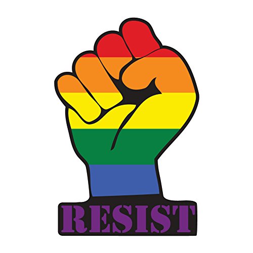 Dark Spark Decals LGBT Resist Fist Equal Rights for All - Full Color Rainbow 8 Inch Vinyl Decal for Indoor or Outdoor use, Cars, Laptops, Décor, Windows, and More -
