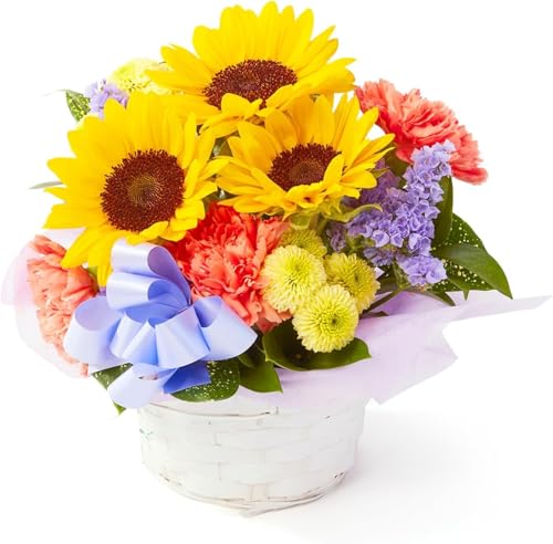 bloomee(u[~[)  ̂܂܏ AWg Ђ܂ STCY ( J[ht)  ԑ  ~j ( dp p)  @ ފ ~ V~ (ԕrsv) ybg 