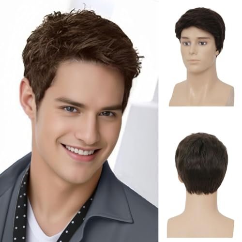 Salaibs Brown Short Wigs for Men Natural Looking Side Part S