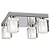 PLC Lighting 3486 PC 4 Light Ceiling Light Glacier Collection