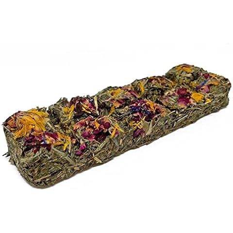 Reptile World Tortoise Forage treat Bar - Flower | 100% Natural Botanical Treat (x1) Cover